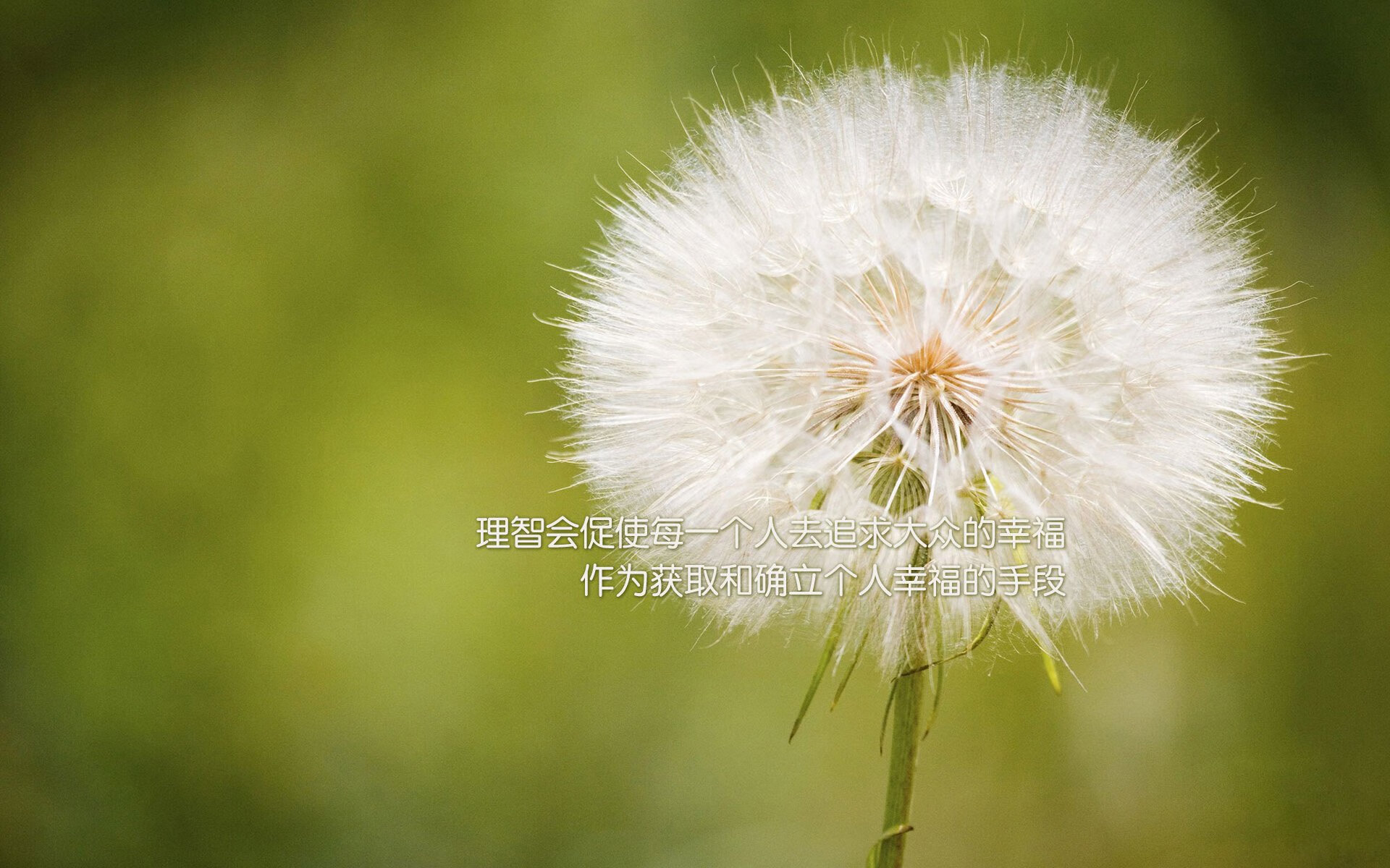 法甲推出“球迷日”，提升现场观赛氛围，法甲看球