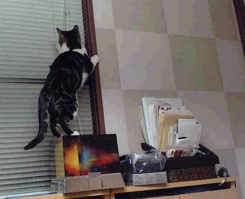 体育场馆数字化运营管理,体育场馆信息化管理的发展方向