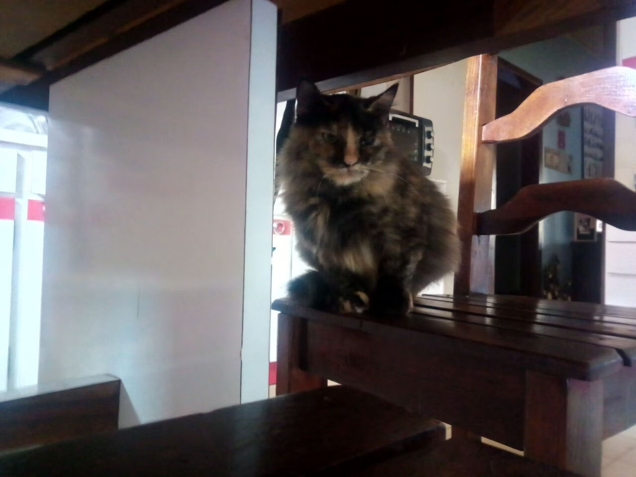 全国马拉松巡回赛浙江站顺利举办,浙江马拉松纪录挑战赛