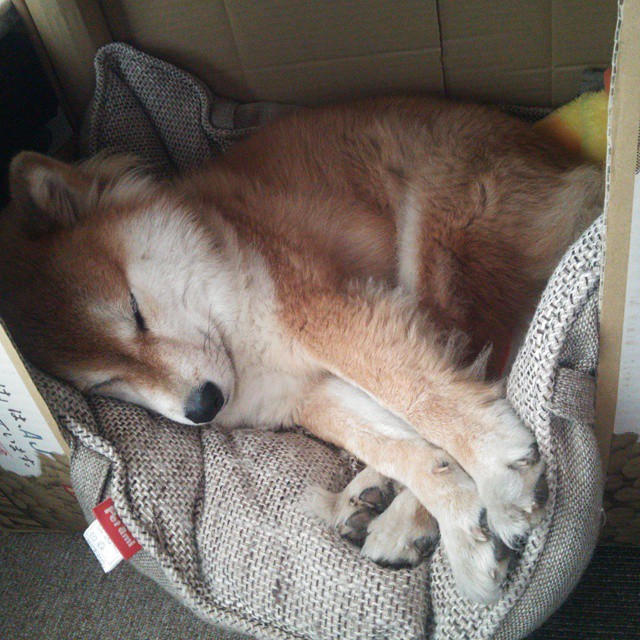 德甲青训心理干预机制减少青少年球员情绪失控，德甲青训规则