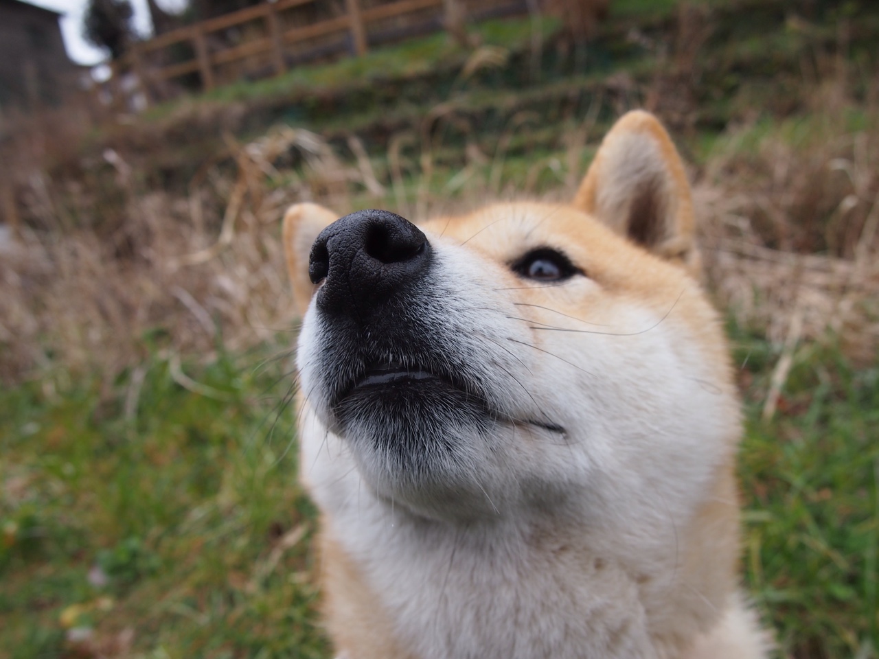 英超裁判使用语义回溯工具回顾判罚逻辑一致性，英超裁判出牌