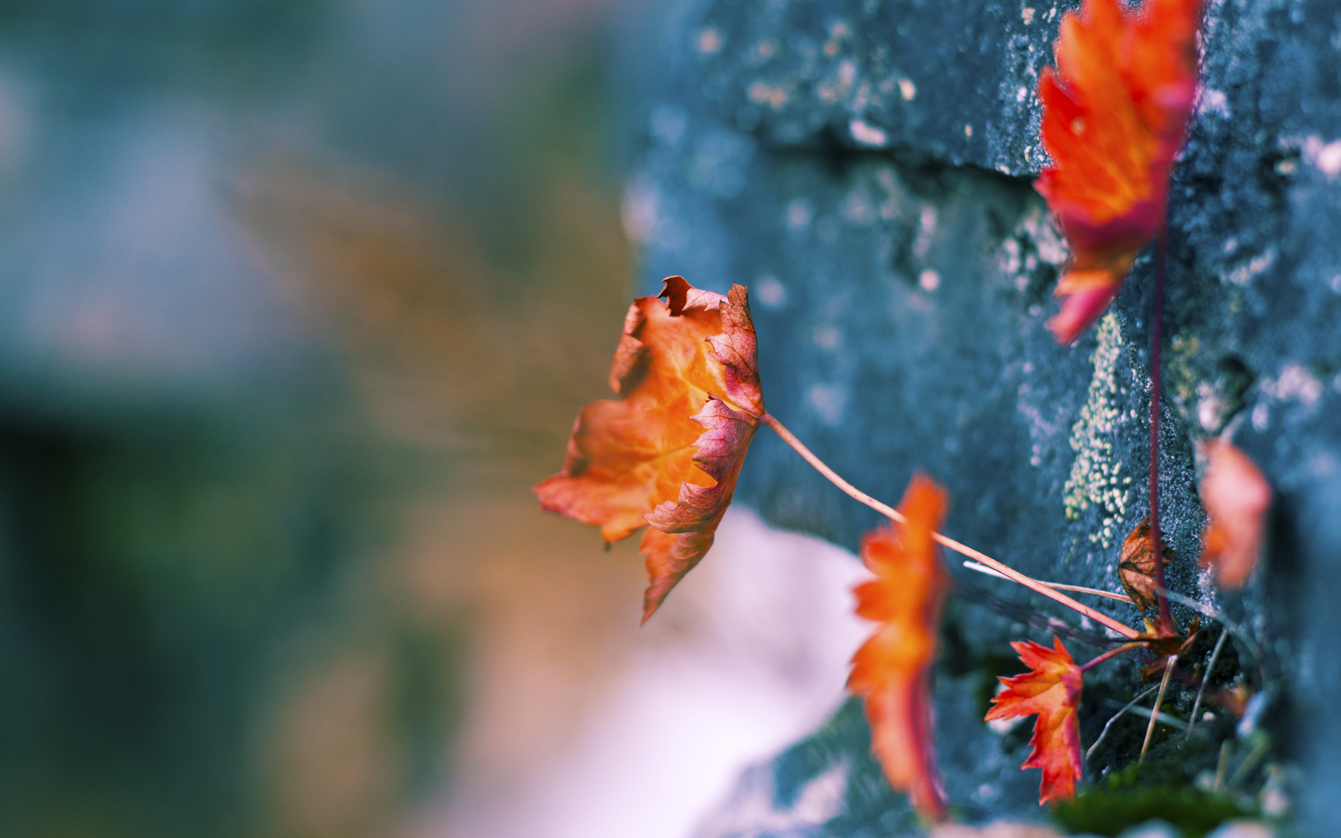 爱游戏体育-五大联赛是否减少慢节奏控球降低战术失误率，五大联赛最快速度